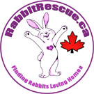 RabbitRescue.ca :: Our Logo