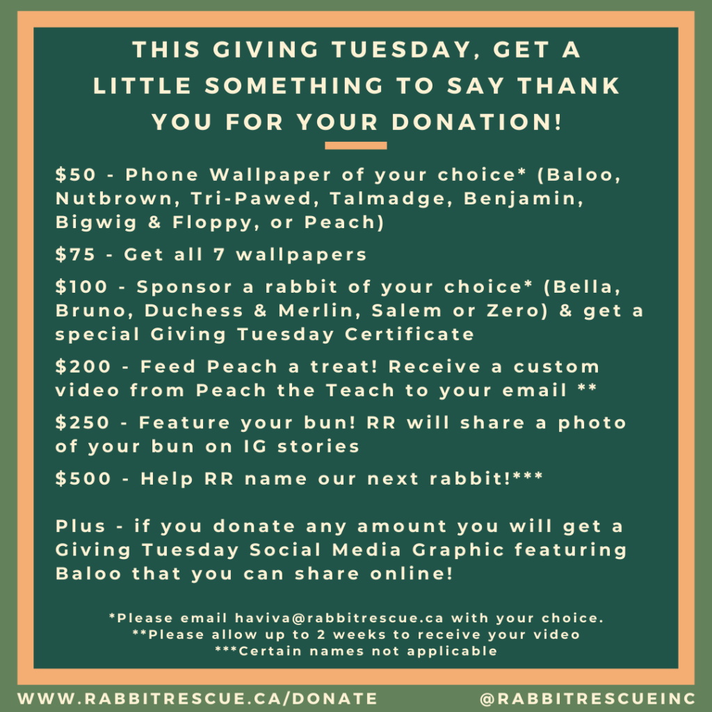 GT 2021 – Tiered Donations | Rabbit Rescue