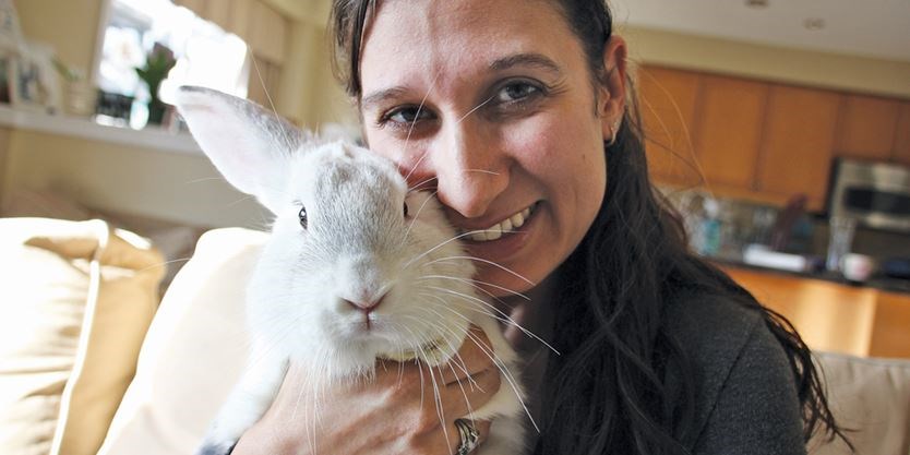 Eleven rescued rabbits in need of a home - Rabbit Rescue